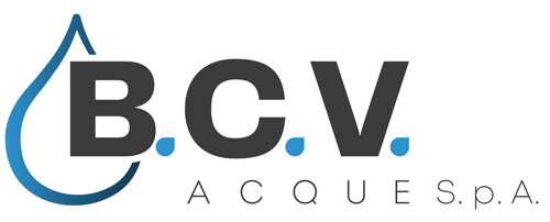 BCV SpA logo